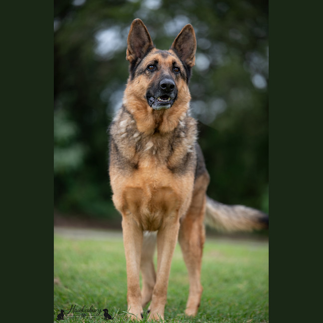 Photo of Ghost
