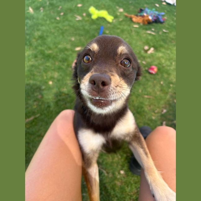 Photo of Hot Wheels