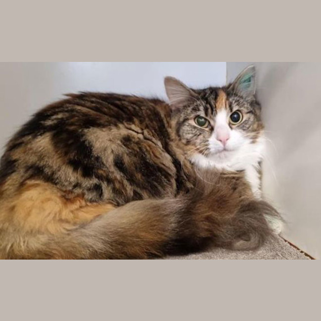 Photo of Mimi
