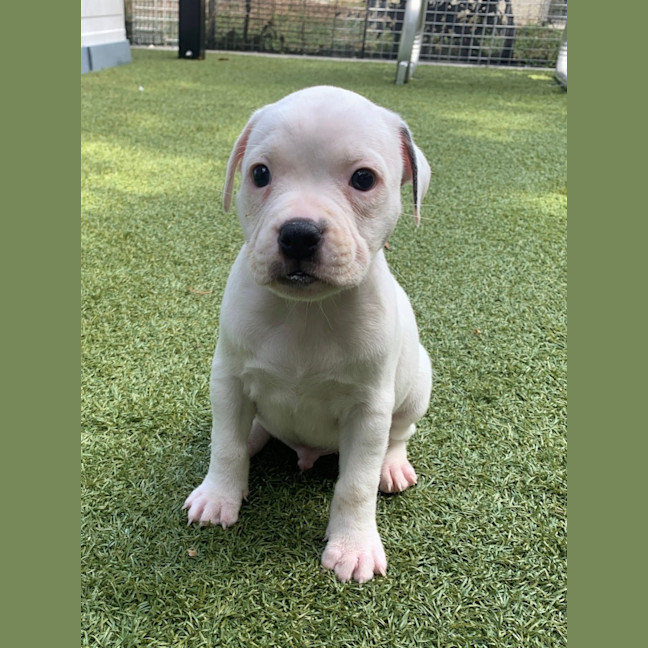 Photo of D1110 Kendrick