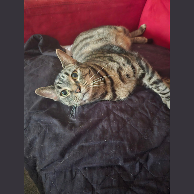 Photo of Lexi