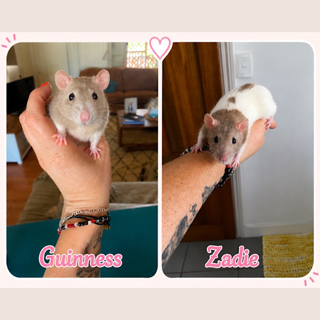 Photo of Guinness And Zadie