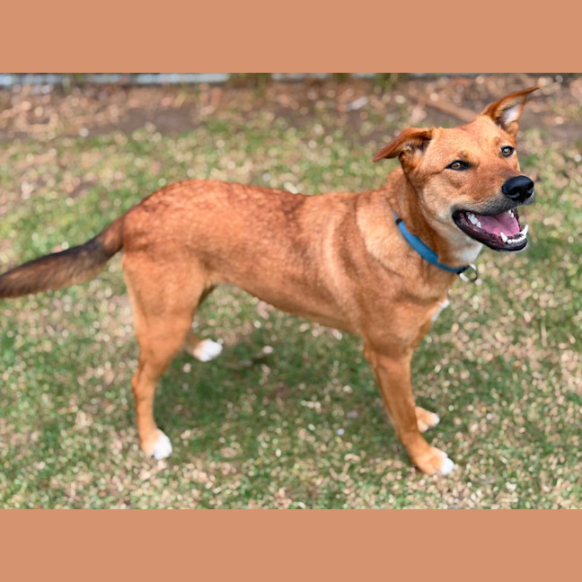 Photo of Thelma