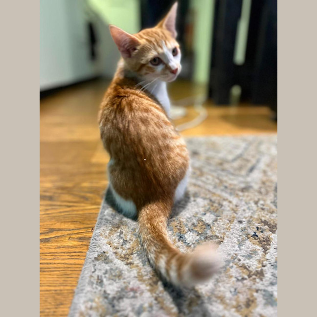Photo of Bruce