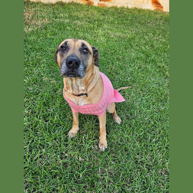 Photo of Audrey