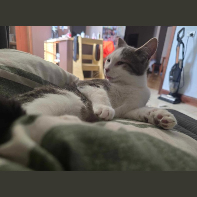 Photo of Jessie