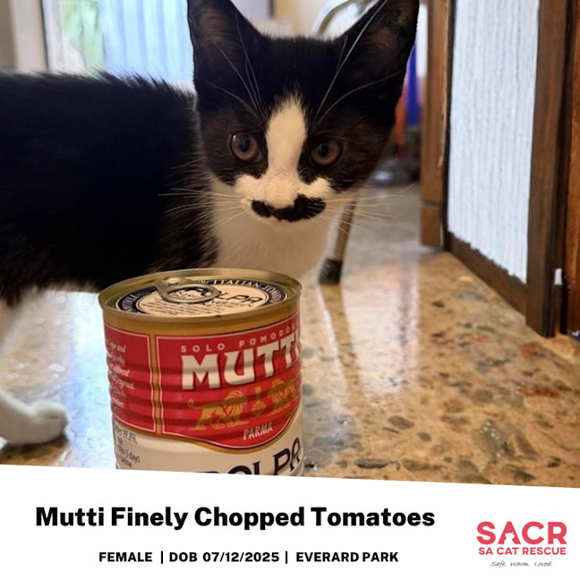 Photo of Mutti Finely Chopped Tomatoes