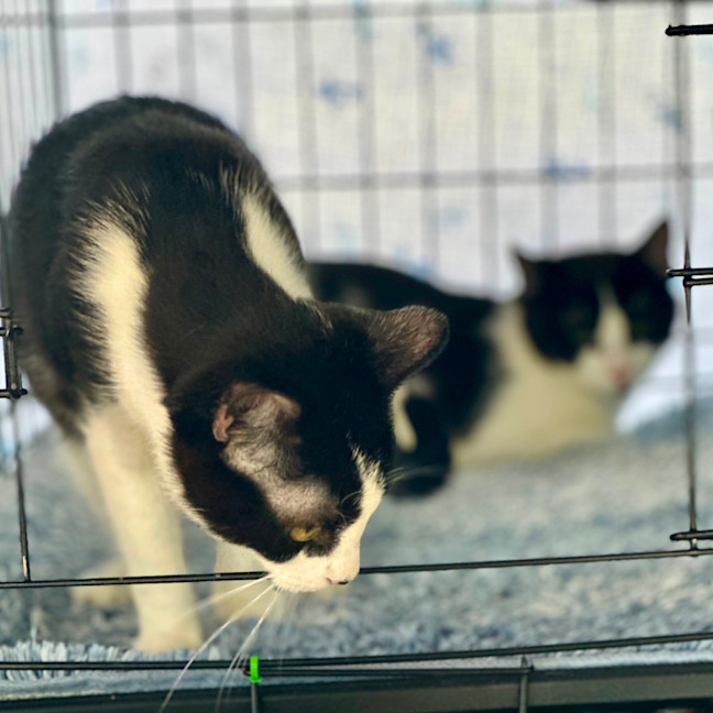 Photo of Meg And Amy