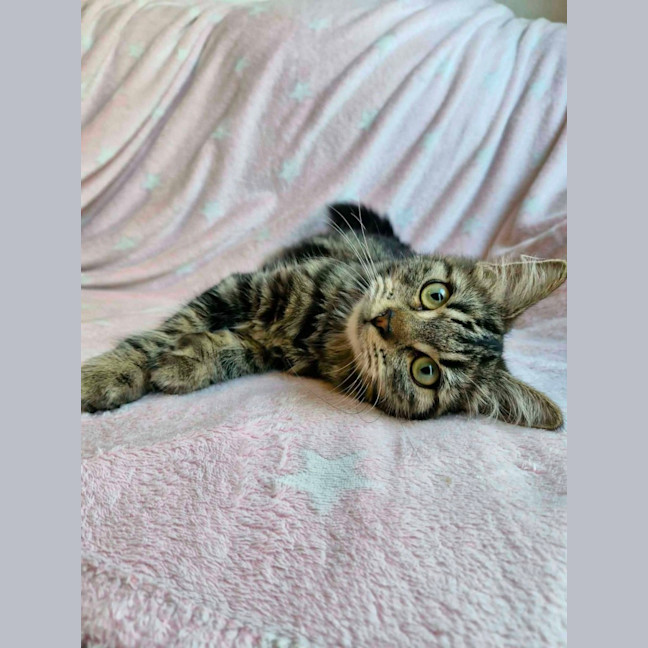 Photo of Yasha