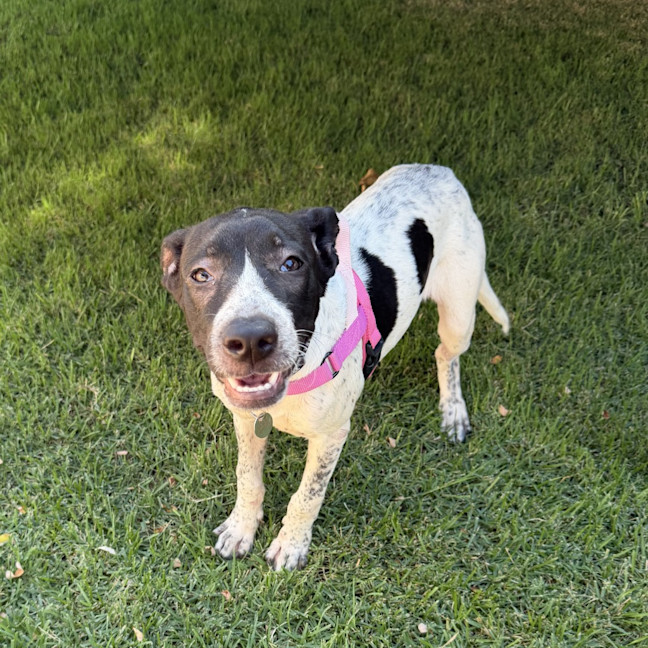 Photo of Lyka