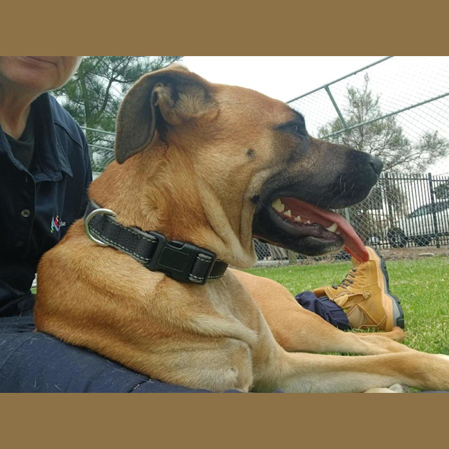 Photo of Gertie