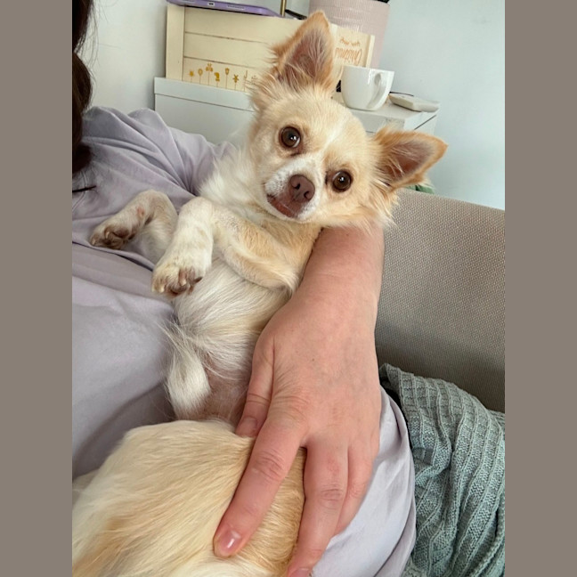 Photo of Oscar