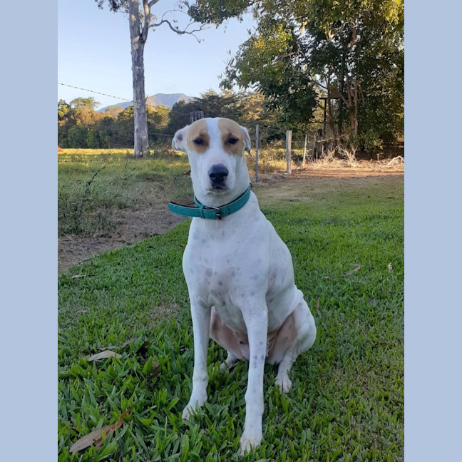 Photo of Heidi