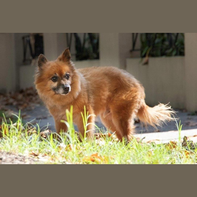 Photo of Maxy O’cleary