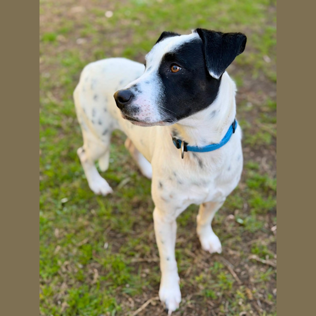 Photo of Sully