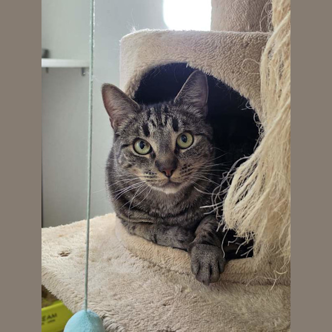 Photo of Percy