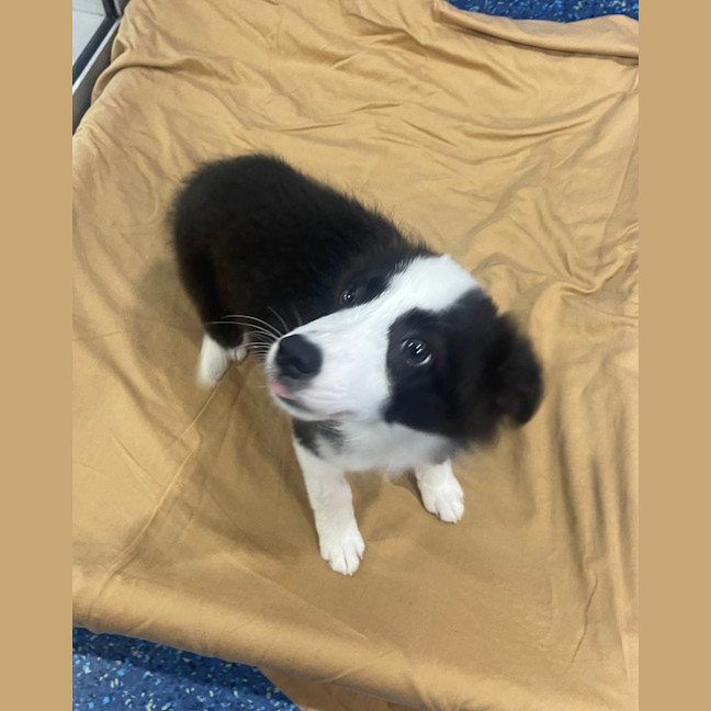 Photo of Sophie