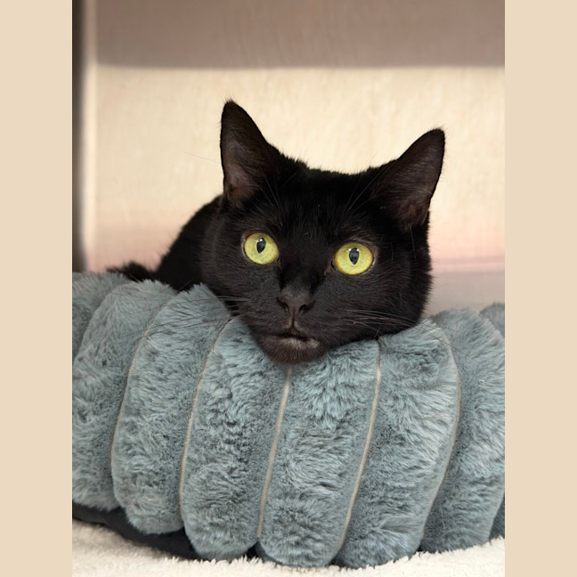 Photo of Kiki