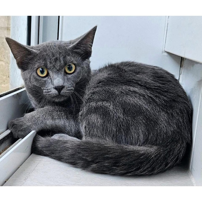 Photo of 12192   Mario