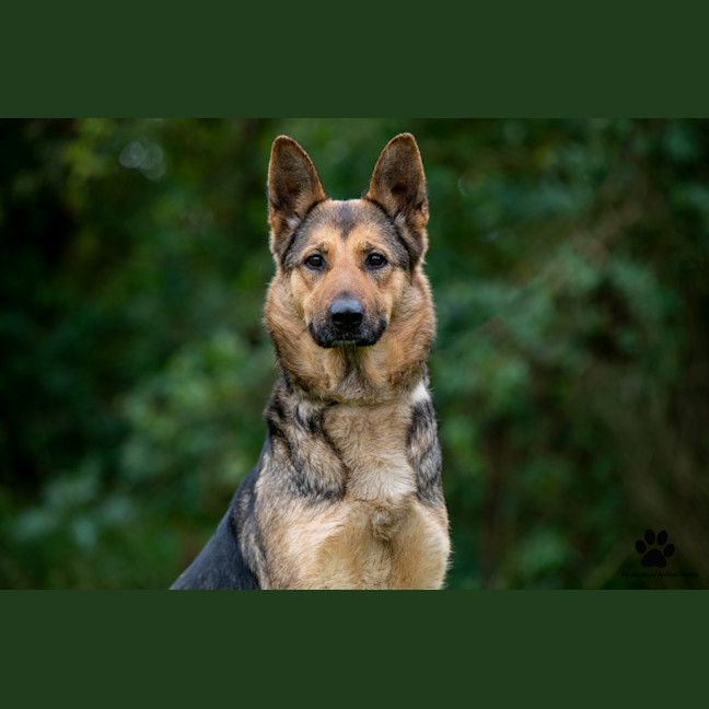 Photo of Sasha