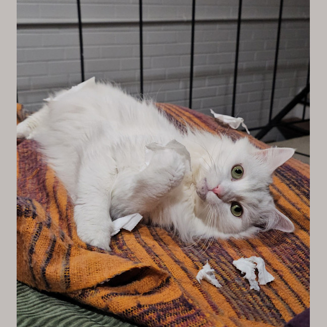 Photo of Olivia