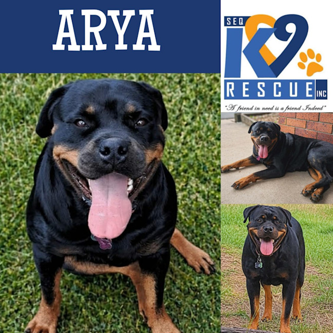 Photo of Arya