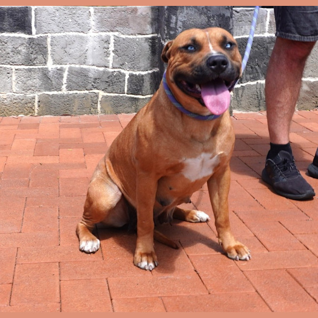Photo of Bonnie