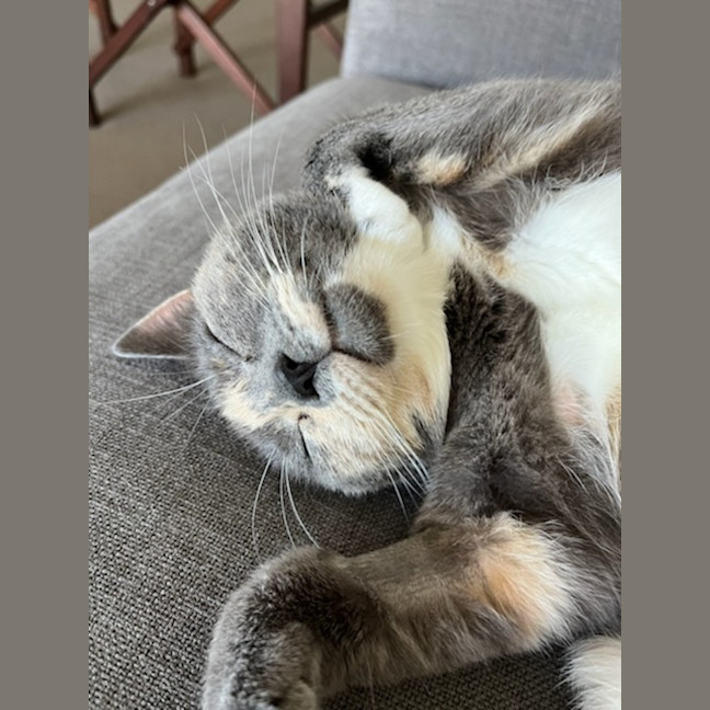 Photo of Maggie. 🌸🌸🌸