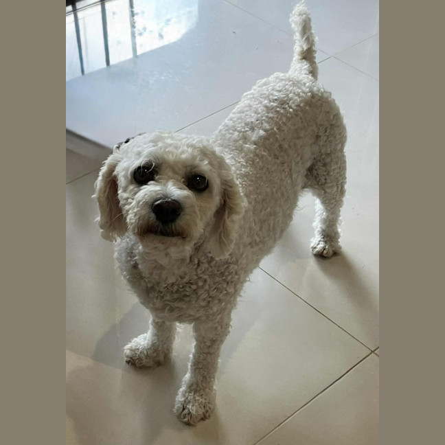 Photo of Mia