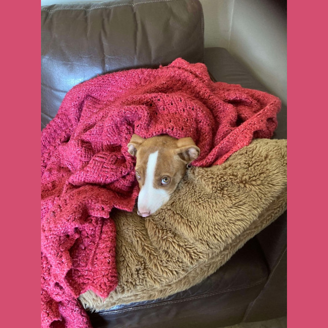 Photo of Brian Mannix