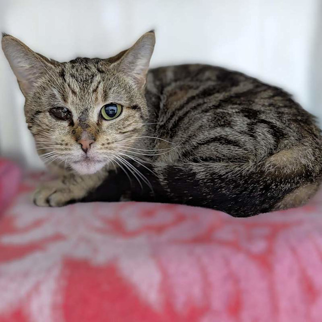 Photo of Leela