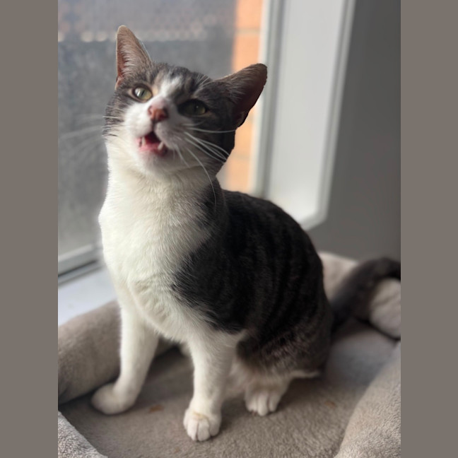 Photo of Sylvie 🌷