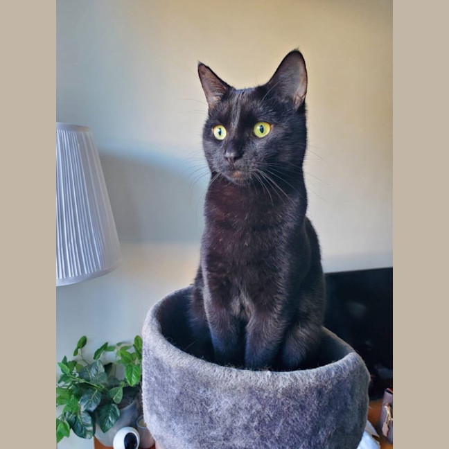 Photo of Milo   Malvern 