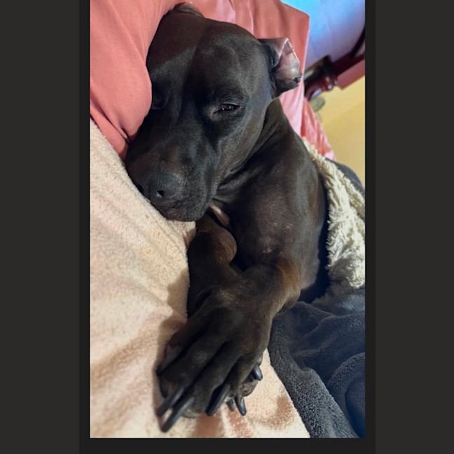 Photo of Lena 