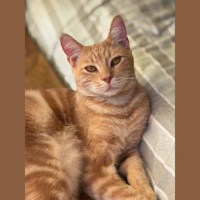 Photo of George 