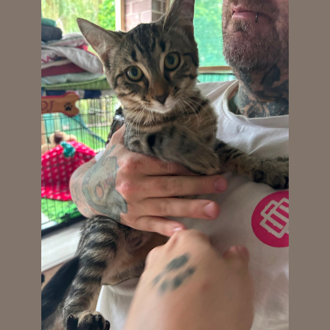 Photo of Porthos ⚔️ 