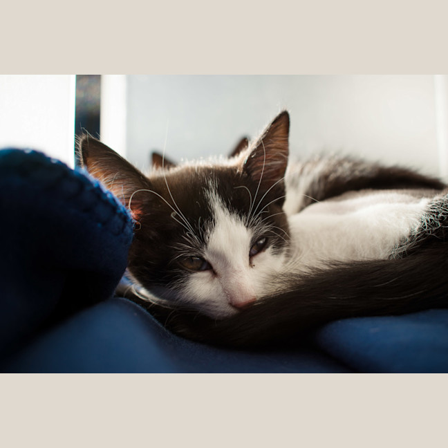 Photo of Buttons