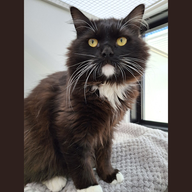 Photo of Alastor