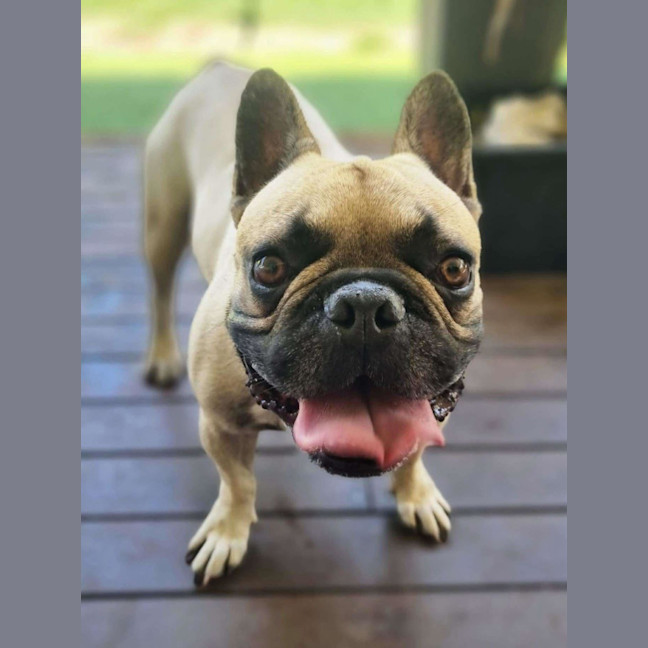 Photo of Darby & Remy