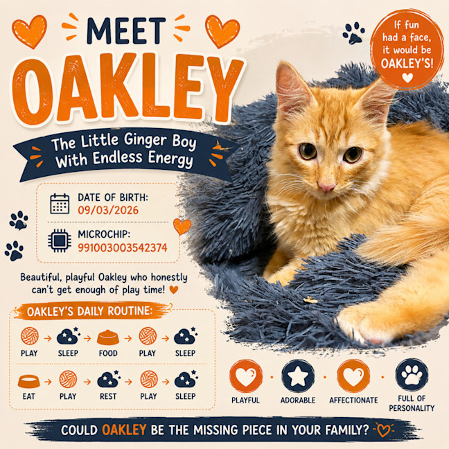 Photo of Oakley 