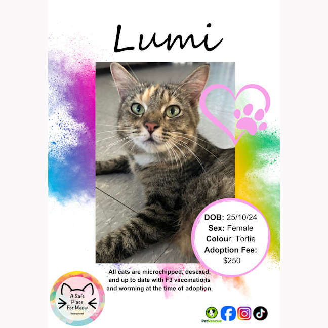 Photo of Lumi