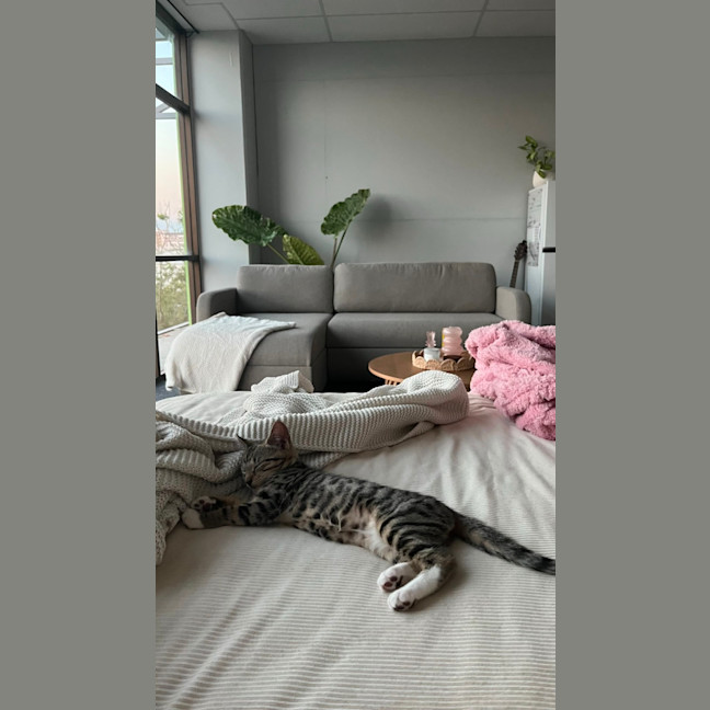 Photo of Willow