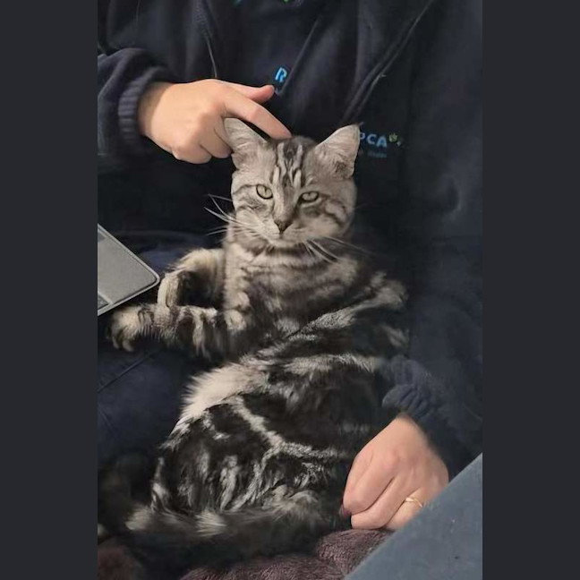Photo of Leonardo