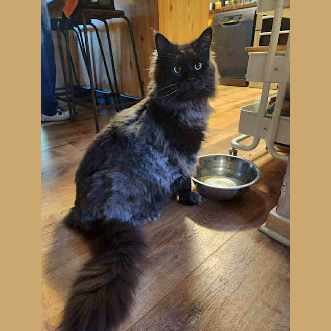 Photo of Ghetto & Gucci