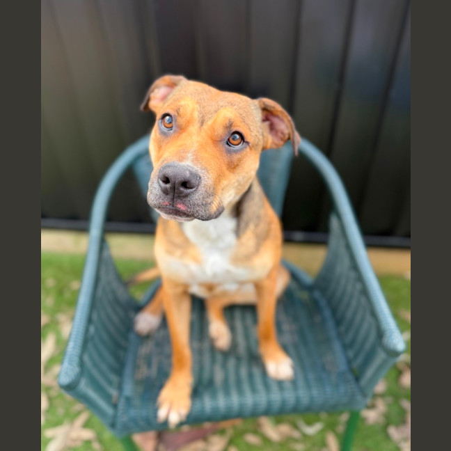 Photo of Betty