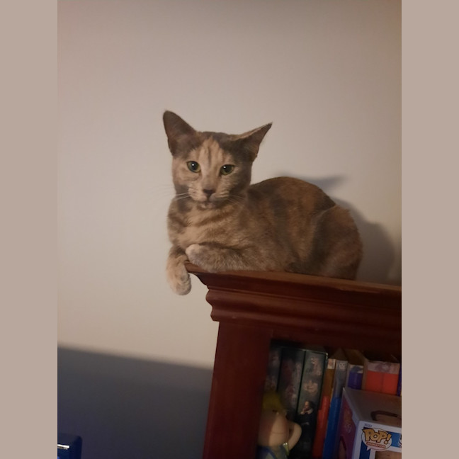 Photo of Sage