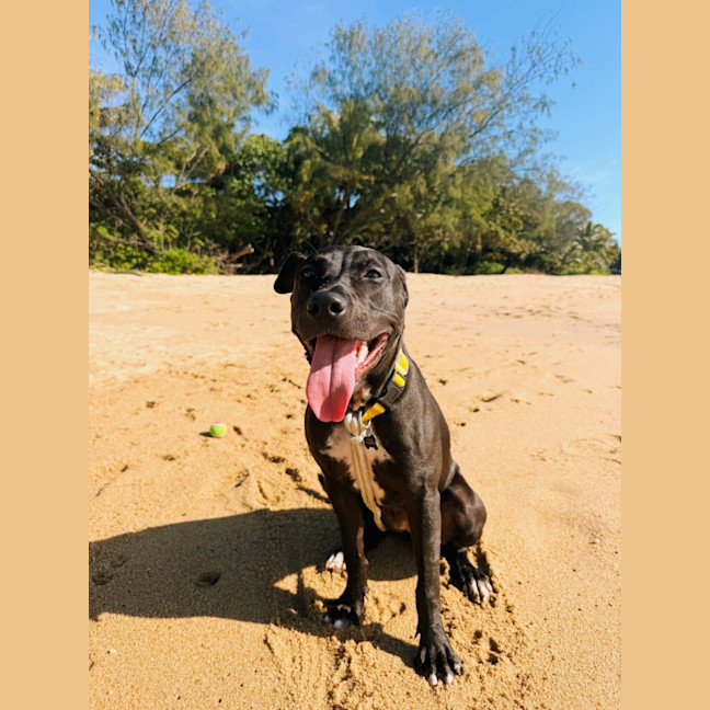 Photo of Marley