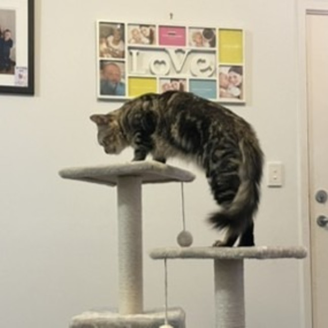 Photo of Klaus