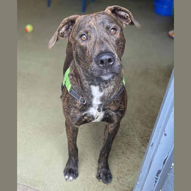 Photo of Starsky (Now Called Narloo)