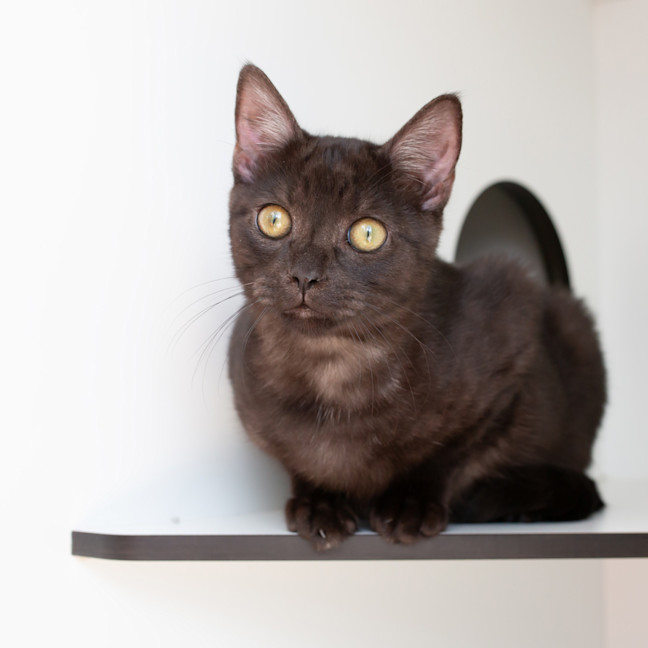 Photo of Mr Winston Kitty